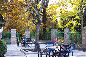 The courtyards at Delhi Post-Acute facility