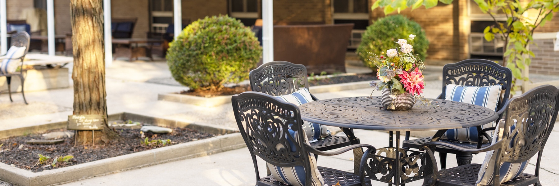 Desktop Background Image