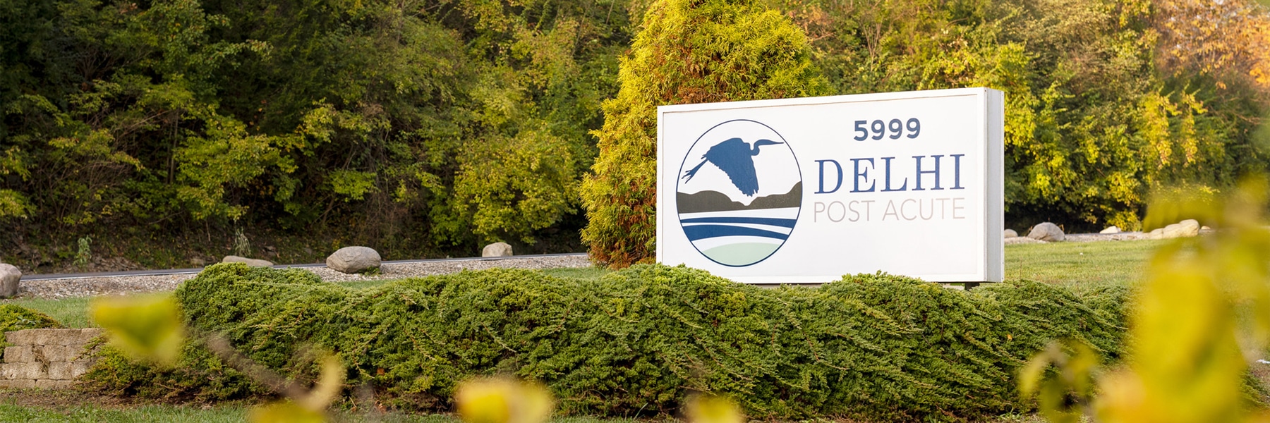 Desktop Background Image